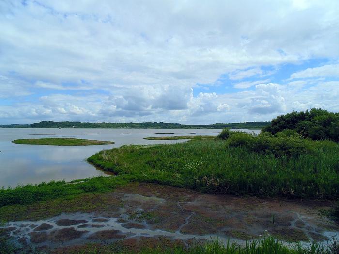 Marais_d'Orx