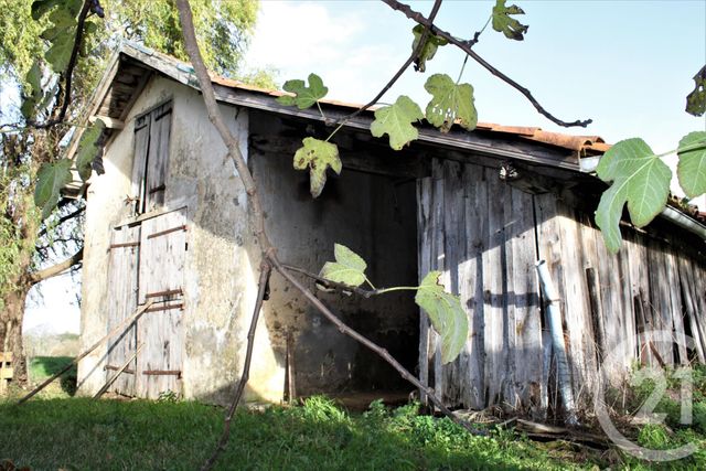 maison - ST ANDRE DE SEIGNANX - 40