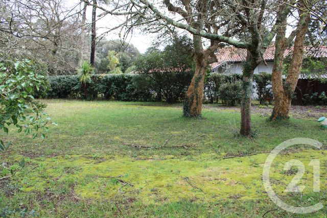 maison à vendre - 4 pièces - 143.89 m2 - SOORTS HOSSEGOR - 40 - AQUITAINE - Century 21 Dune Et Or