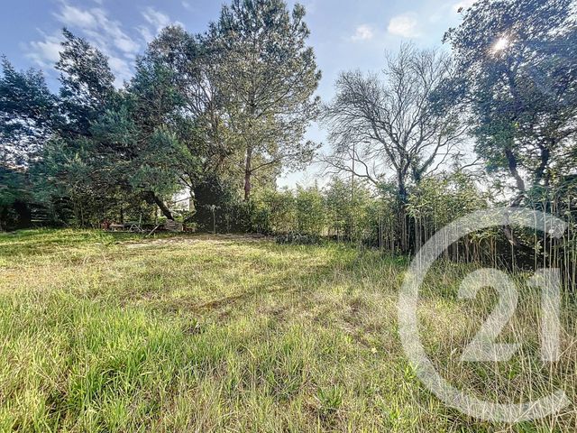 Afficher la photo en grand maison à vendre - 5 pièces - 163.86 m2 - TARNOS - 40 - AQUITAINE - Century 21 Dune Et Or