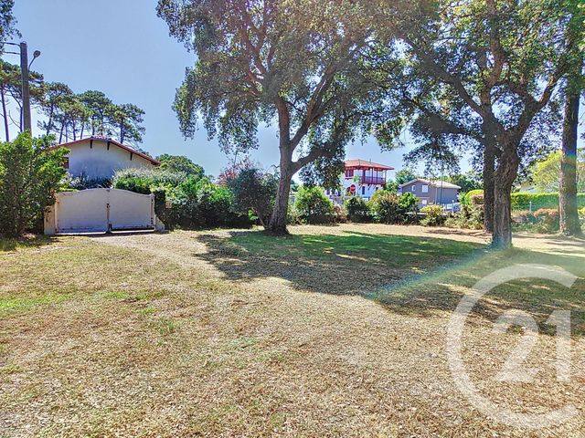 terrain à vendre - 603.0 m2 - LABENNE - 40 - AQUITAINE - Century 21 Dune Et Or