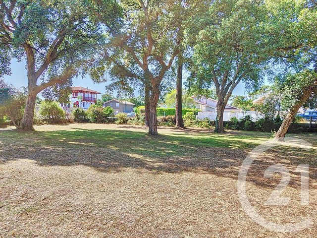 terrain à vendre - 603.0 m2 - LABENNE - 40 - AQUITAINE - Century 21 Dune Et Or