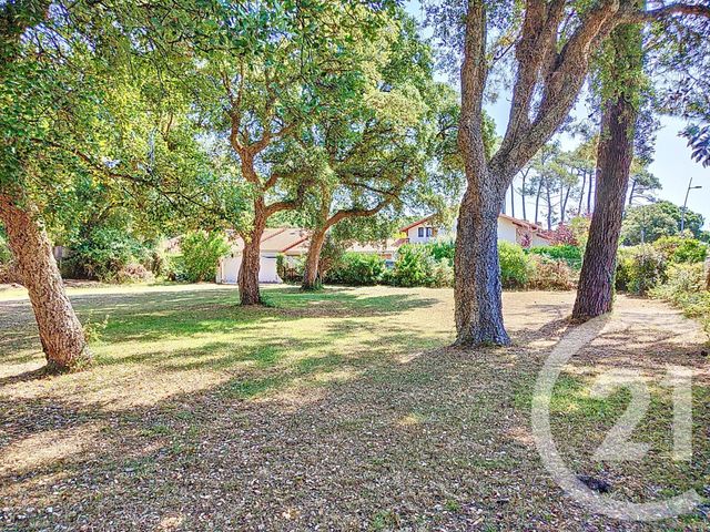 terrain à vendre - 603.0 m2 - LABENNE - 40 - AQUITAINE - Century 21 Dune Et Or