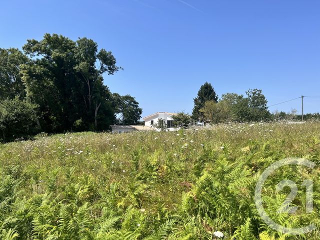 Afficher la photo en grand terrain à vendre - 1022.0 m2 - ONDRES - 40 - AQUITAINE - Century 21 Dune Et Or