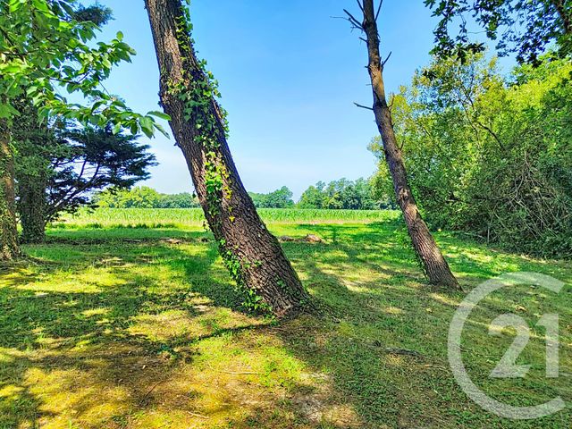 maison à vendre - 4 pièces - 121.94 m2 - ORX - 40 - AQUITAINE - Century 21 Dune Et Or