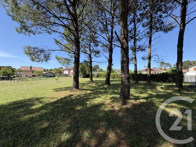 terrain à vendre - 731.0 m2 - ONDRES - 40 - AQUITAINE - Century 21 Dune Et Or